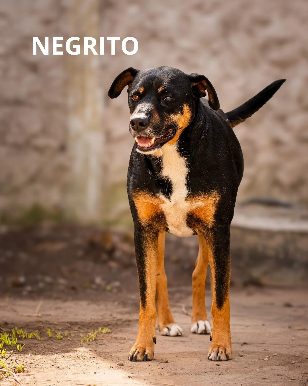 Foto 5